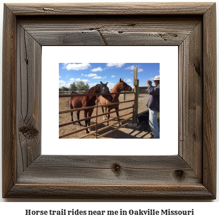 horse trail rides near me in Oakville, Missouri